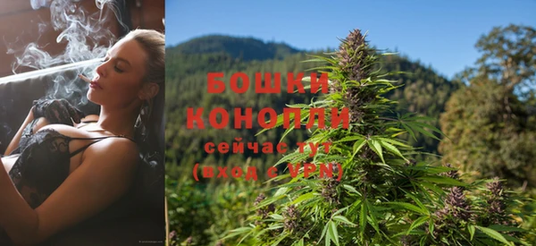 мдпв Россошь