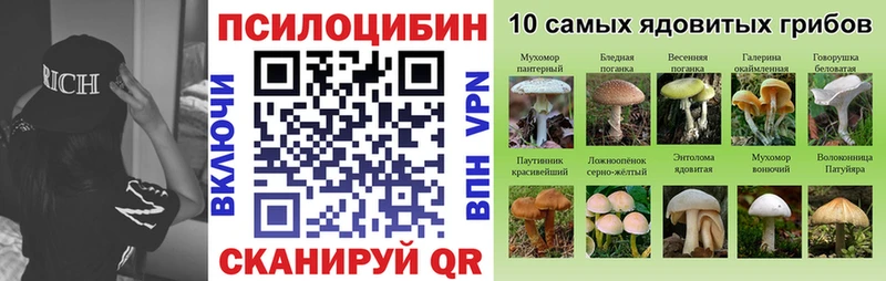 Псилоцибиновые грибы Cubensis  Ртищево 