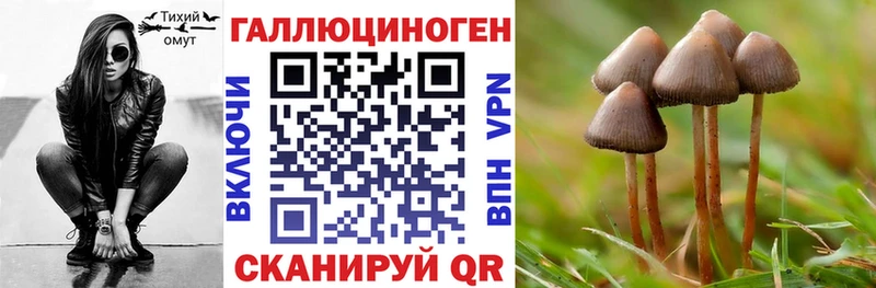 Псилоцибиновые грибы MAGIC MUSHROOMS Ртищево