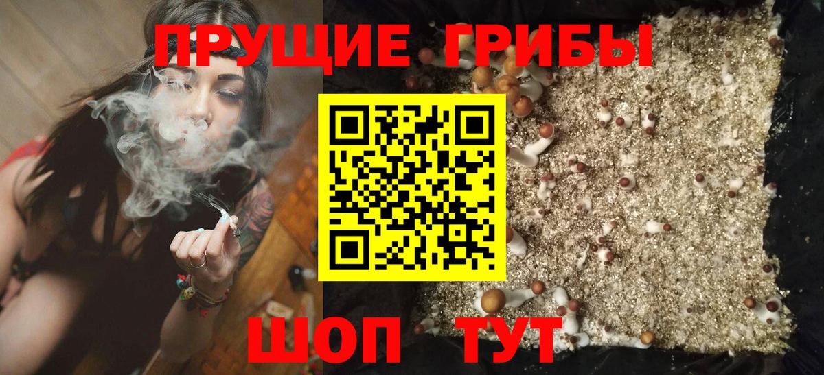 Псилоцибиновые грибы Cubensis Ртищево