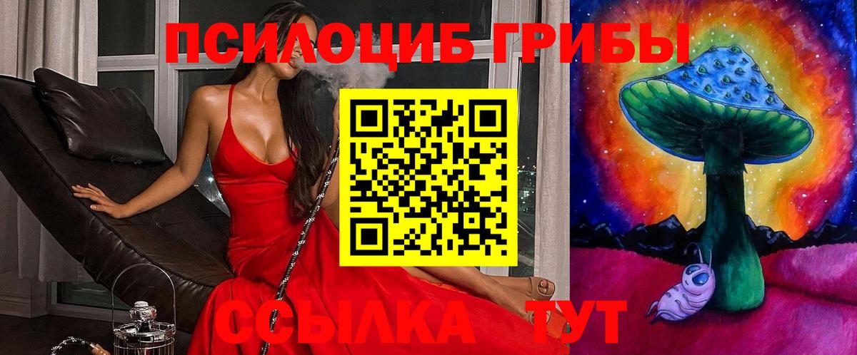 Ртищево  Галлюциногенные грибы мицелий  Вход с VPN 