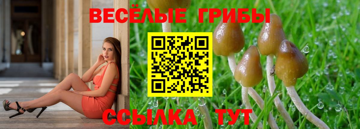 АМФЕТАМИН Ртищево